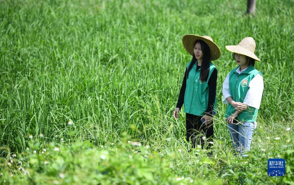 实亿国际下载地址